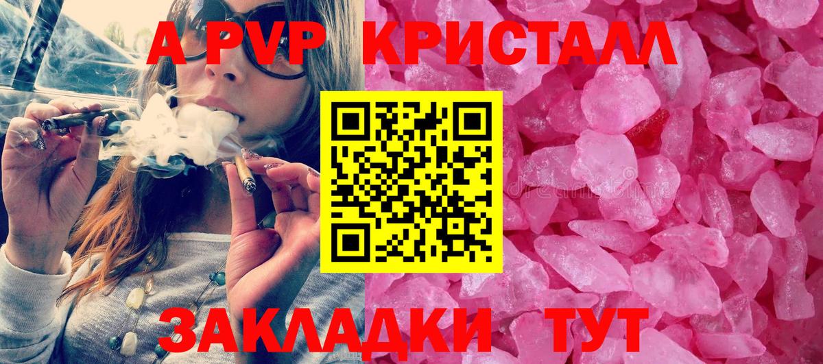 Альфа ПВП СК Волгодонск
