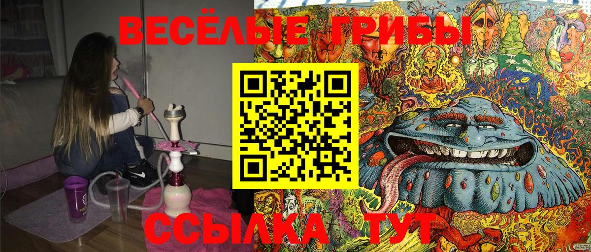 Псилоцибиновые грибы Cubensis Волгодонск